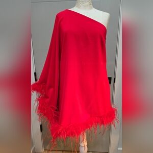 Red One-Shoulder Dress with Feather Trim